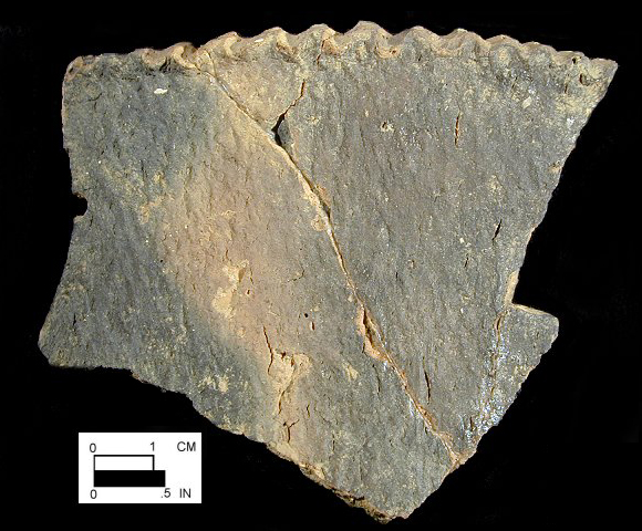 Keyser pie crust rim sherd from Delaware site 7-KF-12/30-Courtesy of the Delaware State Museums.